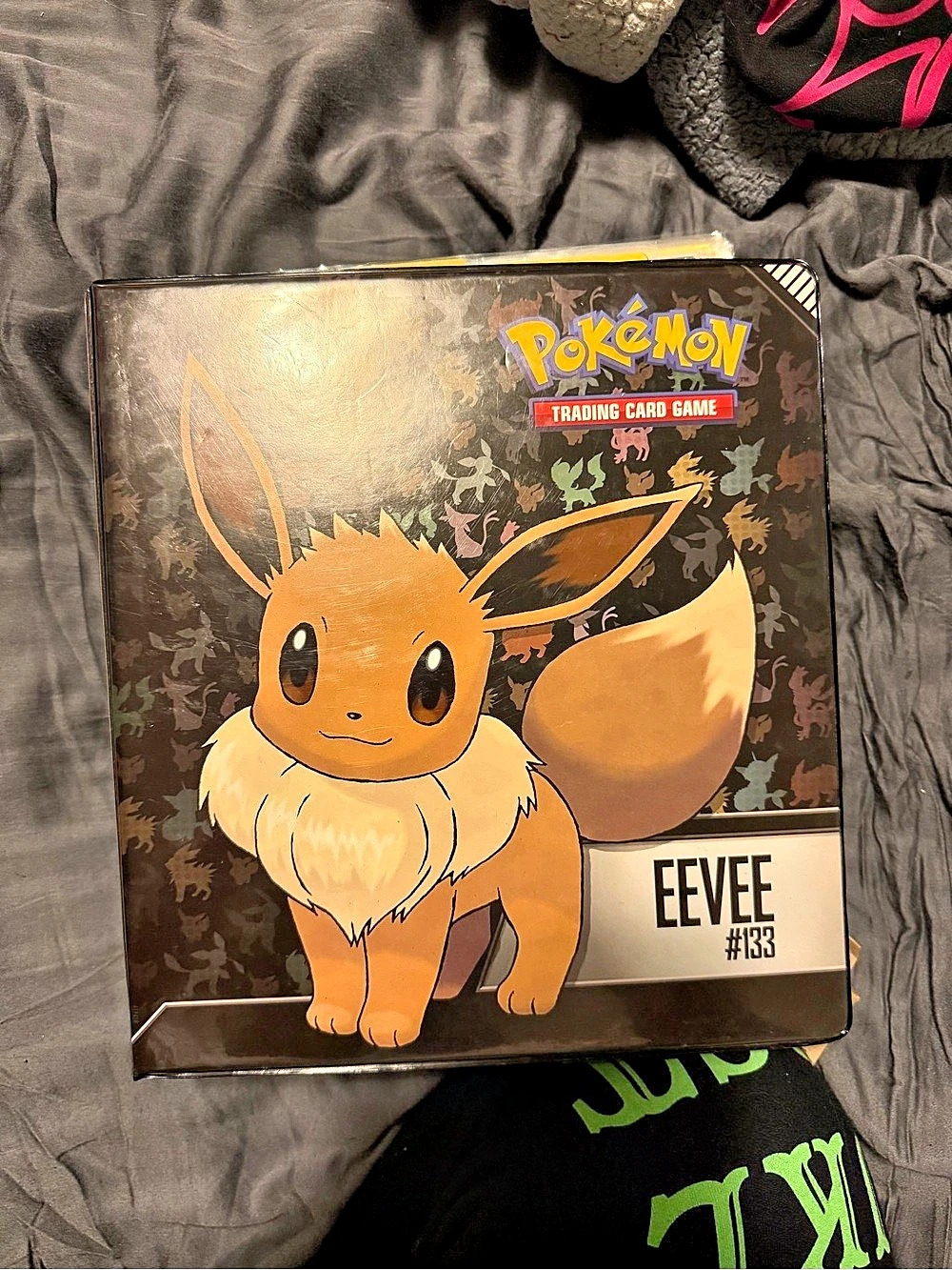 Pokémon TCG Eevee Card Binder with Assorted EX Cards